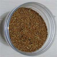 canary bird packets red millet seed